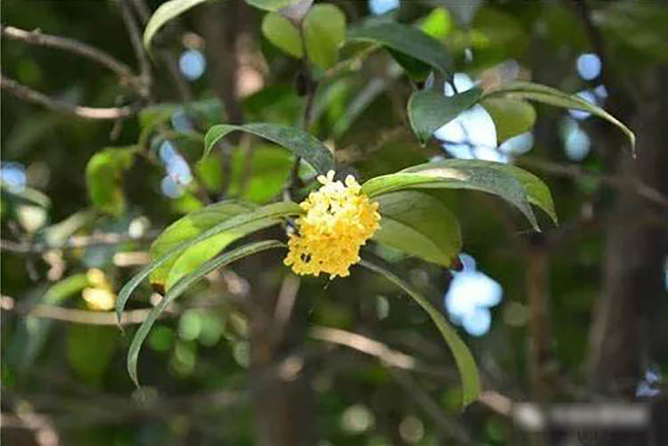 程力風(fēng)采：金秋九月，我在程力等您